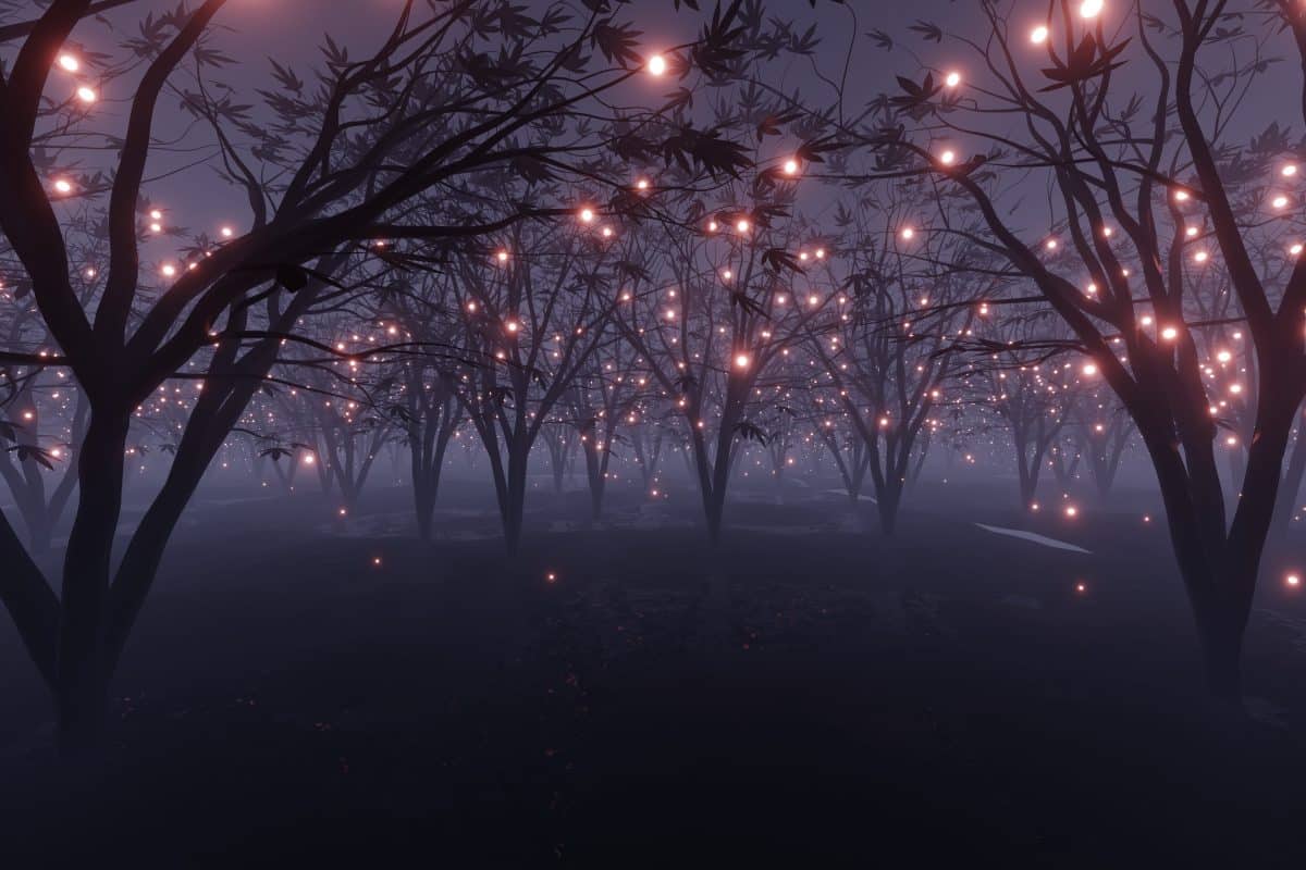 Generador de Videos Render Forest en Waxoo.fr